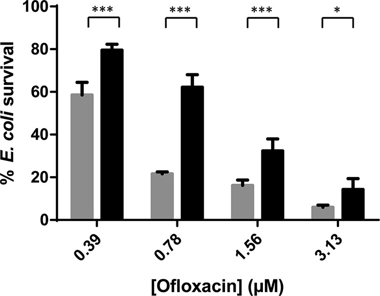 FIG 2