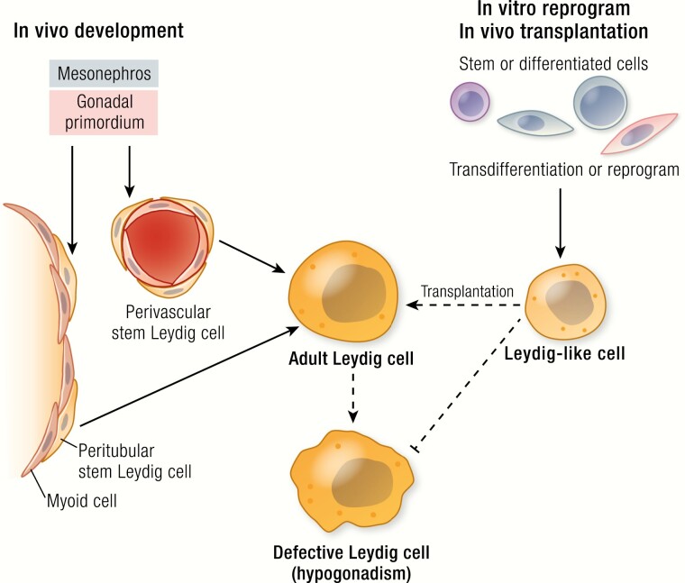 Graphical Abstract