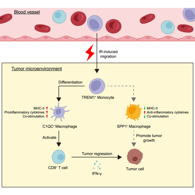 graphic file with name fx1.jpg