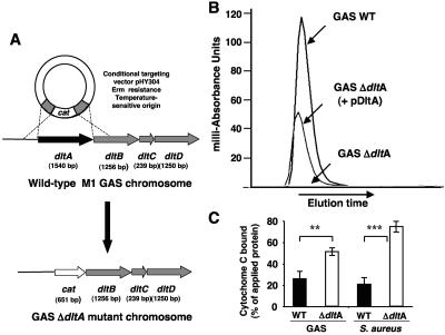 FIG. 1.