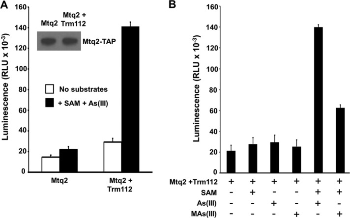 FIGURE 7: