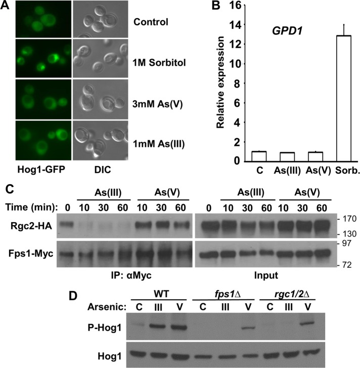 FIGURE 2: