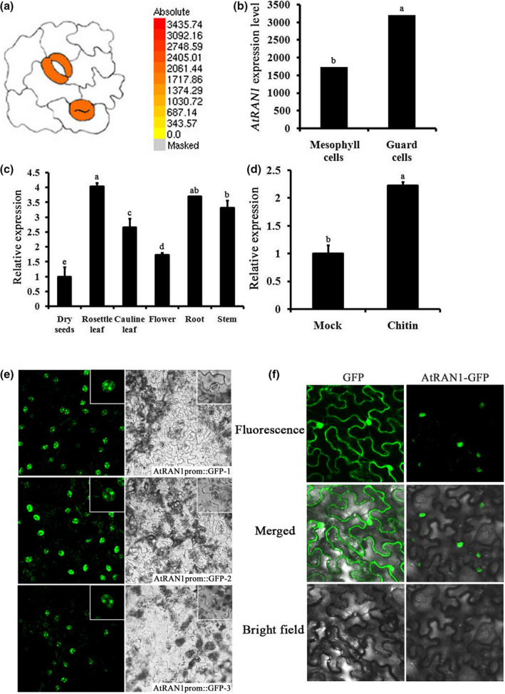 FIGURE 2