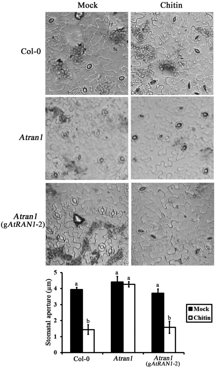 FIGURE 3