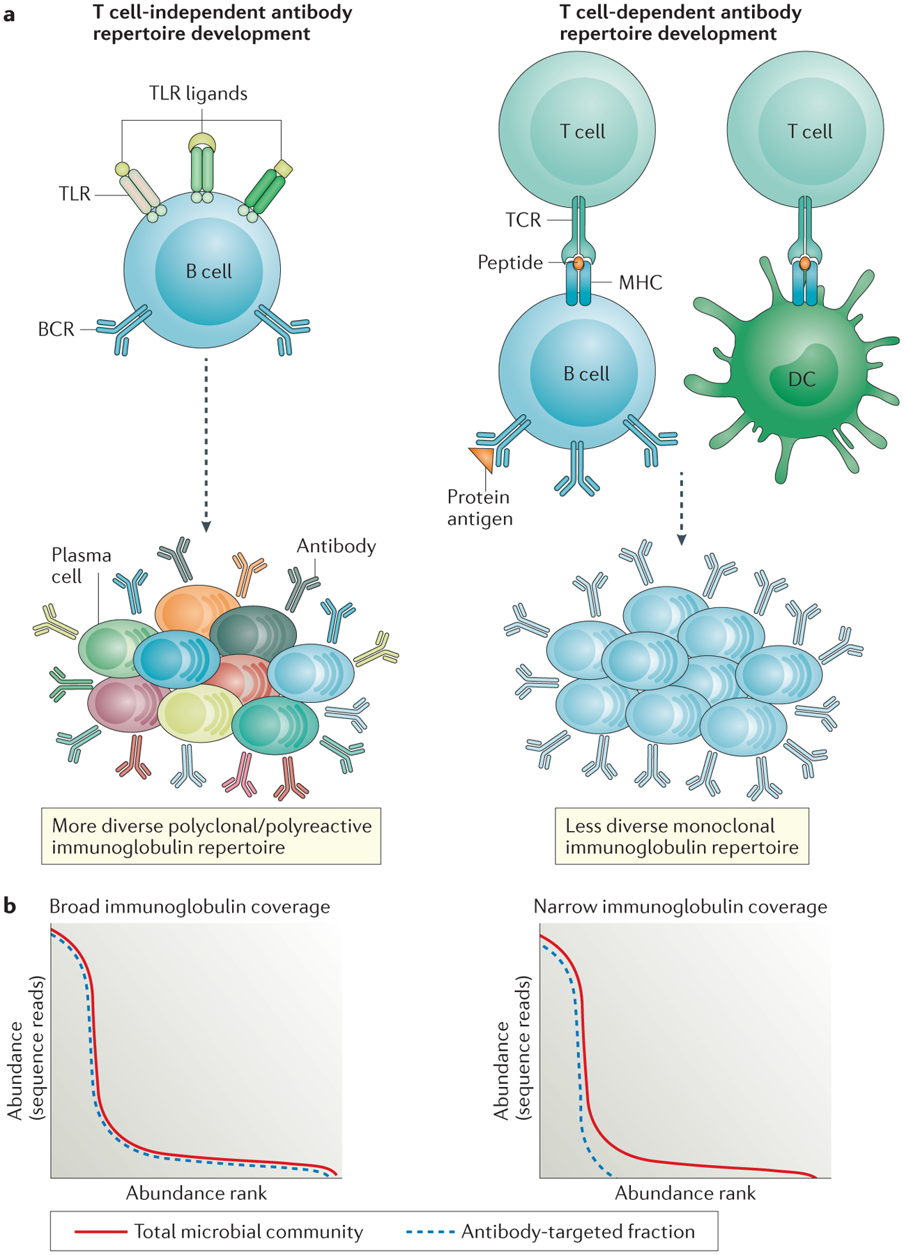 Figure 1 |