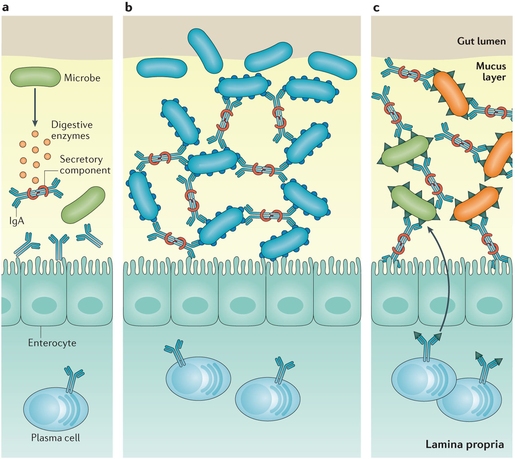 Figure 2 |