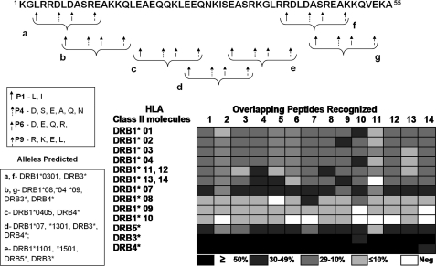 FIGURE 10.