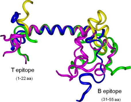 FIGURE 3.