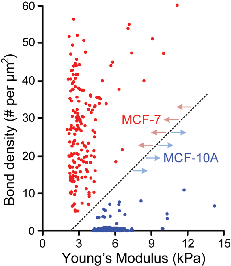 Figure 7.