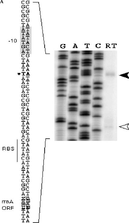 FIG. 2.