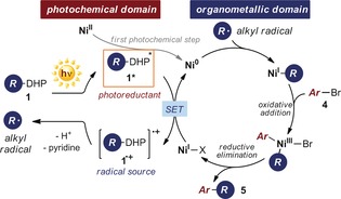 Scheme 2