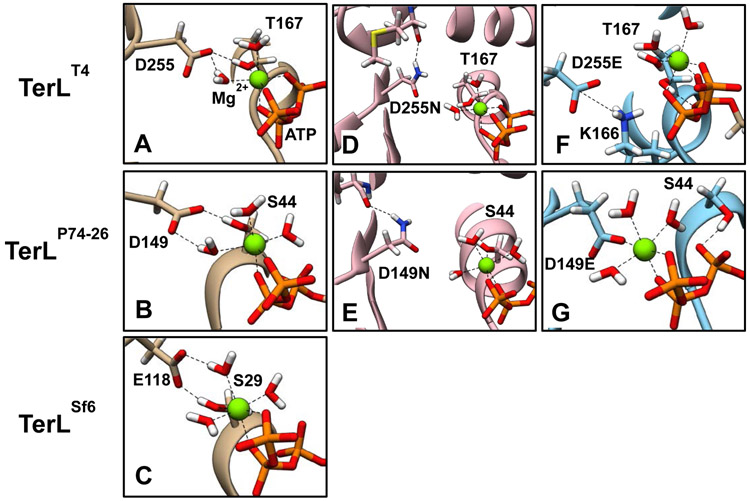 Figure 9.