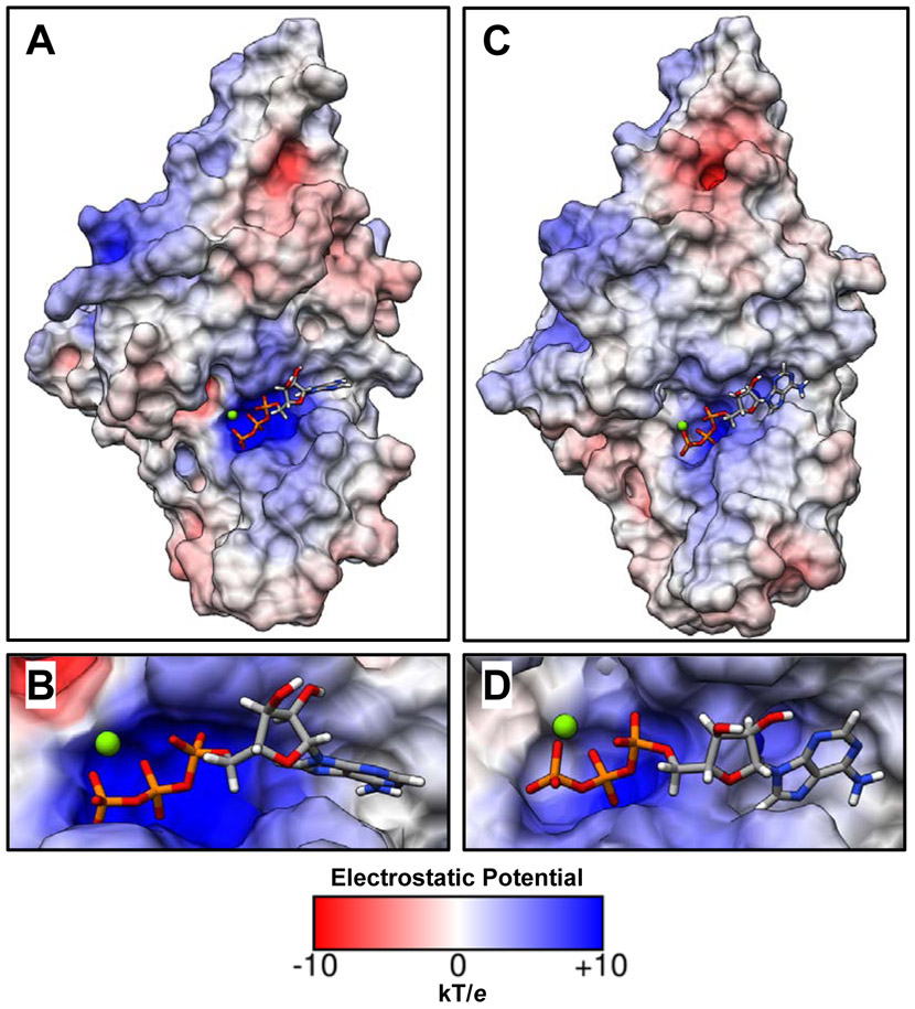 Figure 10.