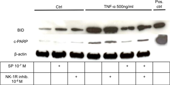 Figure 7