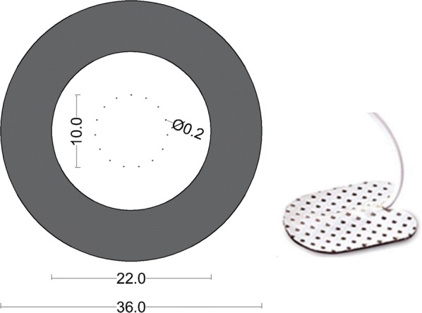 Fig. 1