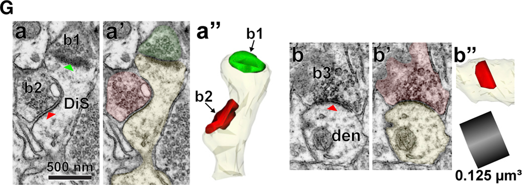 Figure 1G.