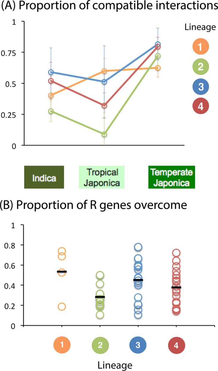 FIG 2 