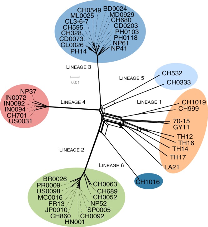 FIG 3 