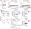 Figure 7. High saturated fat intake and BMI are associated with prostate cancer tumors characterized by glycolytic features and an immunosuppressive TME. A, Comparison of BMI in prostate cancer patient with high and low SFI. B and C, Enrichment plot of “Hallmark_glycolysis” gene set in patients with prostate cancer stratified for SFI (B) and BMI (C). Normalized enrichment score (NES), FDR value, and number of cases are indicated. D, Box plots showing the proportion of tumor-infiltrating macrophages using QuanTIseq deconvolution model. Number of cases and P values are indicated. E and F, Box plots comparing LDHA mRNA levels in patients with prostate cancer with different Gleason score (GS; E) and BCR status (F). P values and number of patients are indicated; two-sided Mann–Whitney U test. Box plots show median value, box boundaries: 25th and 75th percentiles; interquartile range, whiskers: Min to max value. G, Kaplan–Meier curves of disease-free survival. A P value is indicated (log-rank test). H, Box plot comparing LDHA mRNA levels in patients with prostate cancer with/without BCR from the META855 dataset. For D and H, Wilcoxon rank-sum test was used; P value and number of patients are indicated. Box plots show median value, box boundaries: 25th and 75th percentiles; interquartile range (IQR), whiskers: max or min value before the 1.5x IQR fence. Dot plotted in the IQR represents the mean value. ns, not significant; PCa, prostate cancer.
