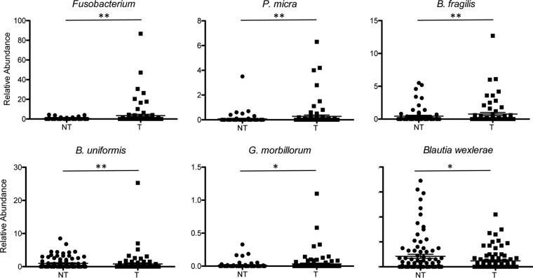 FIG 2