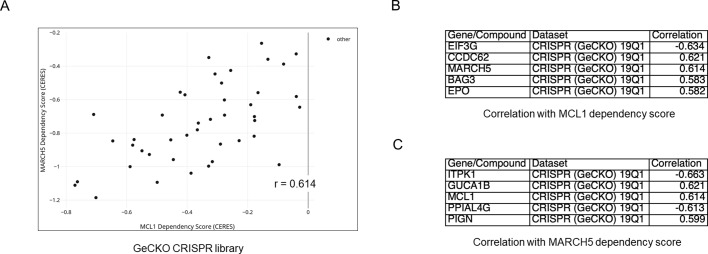 Figure 7—figure supplement 1.