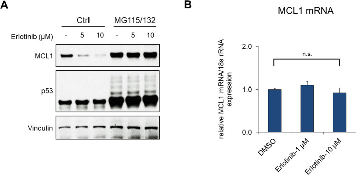 Figure 1—figure supplement 1.