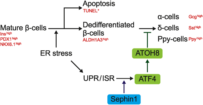 Figure 7
