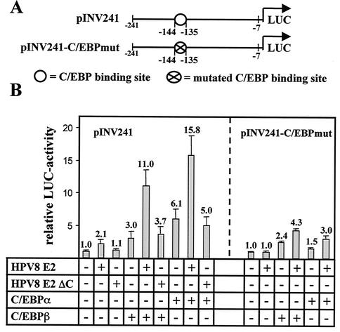 FIG. 8.