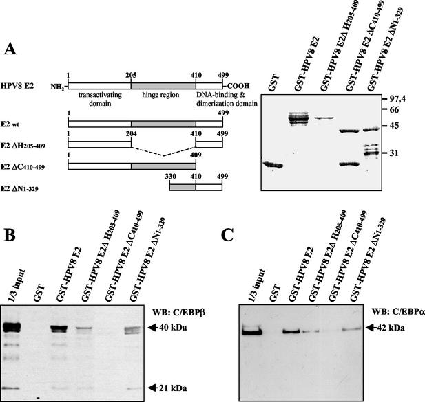 FIG. 5.