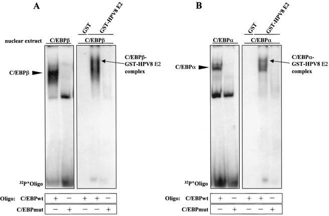 FIG. 7.