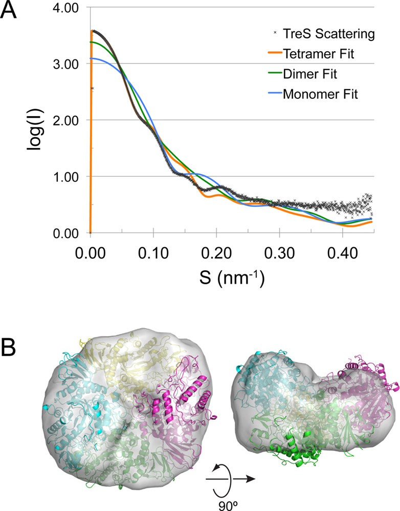 Figure 4