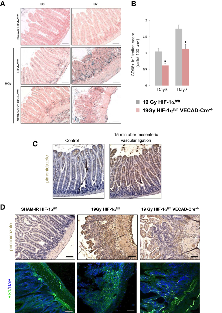 Figure 6