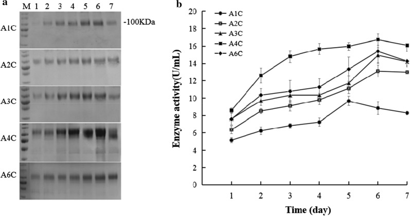 Fig. 1