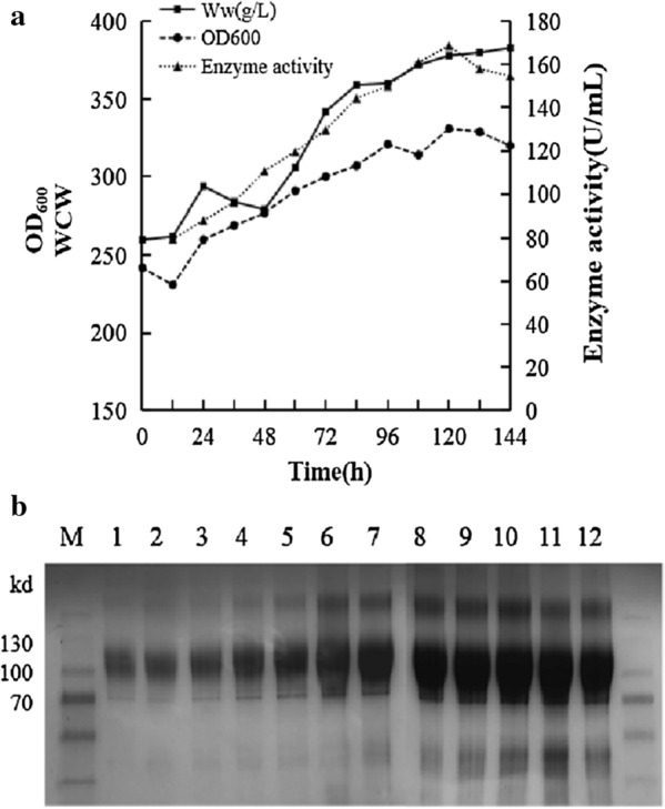 Fig. 3