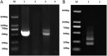 Figure 4.