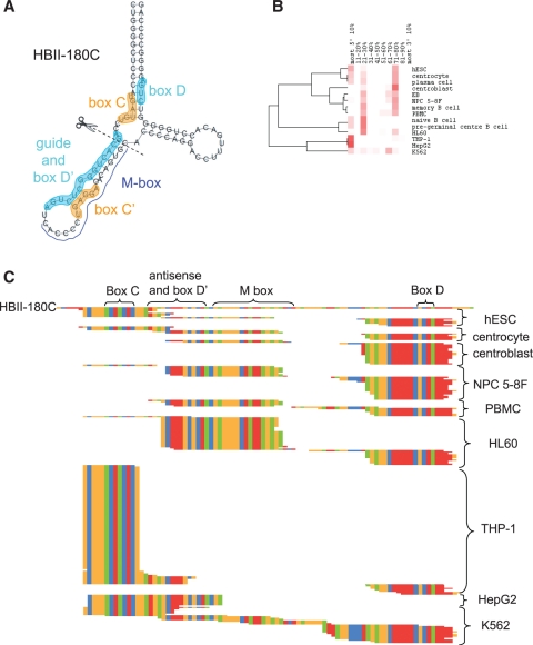 Figure 6.