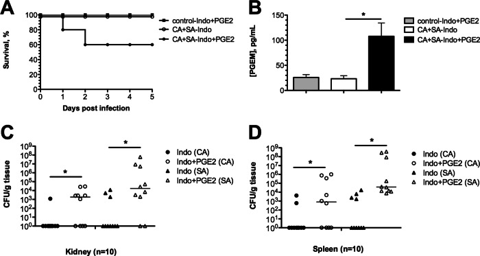 Fig 10