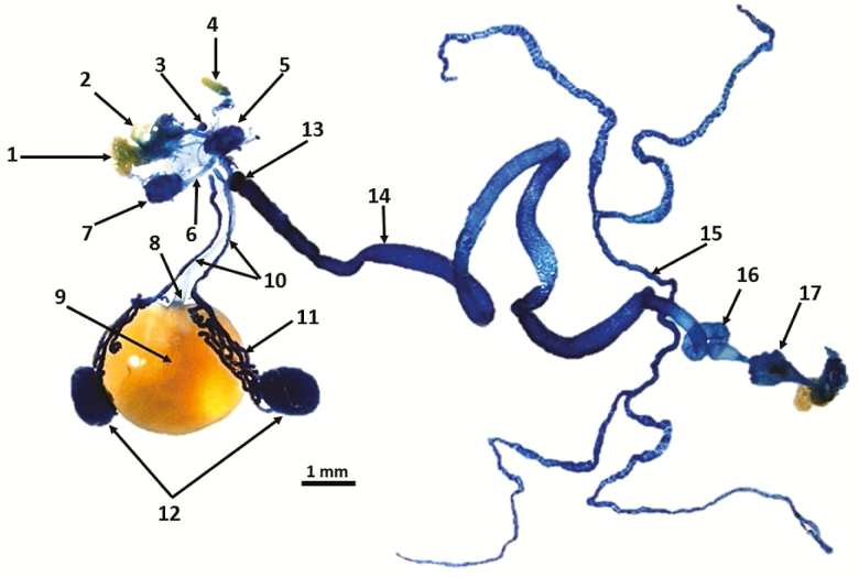 Fig. 2.