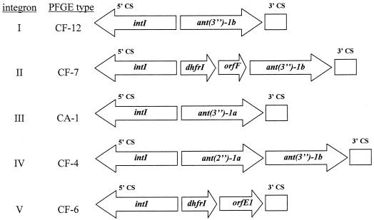 FIG. 1.