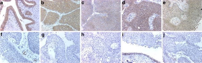 Fig. 7