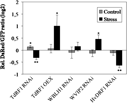 Figure 10.