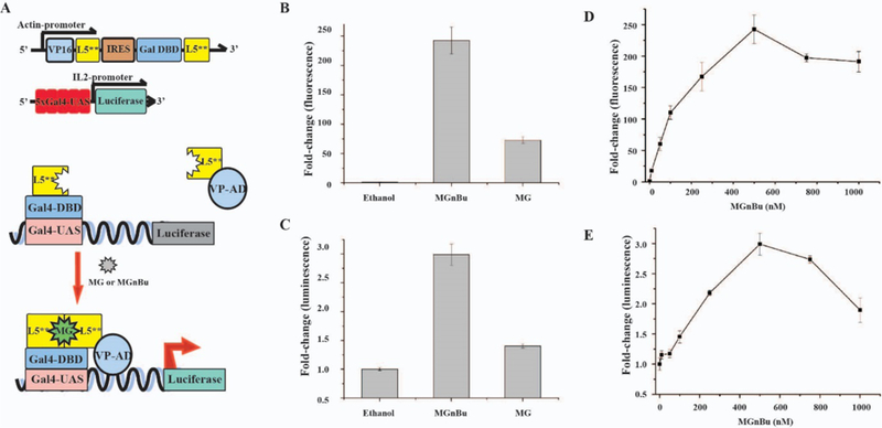 Figure 2.