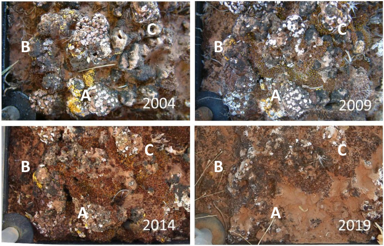 Fig. 3.