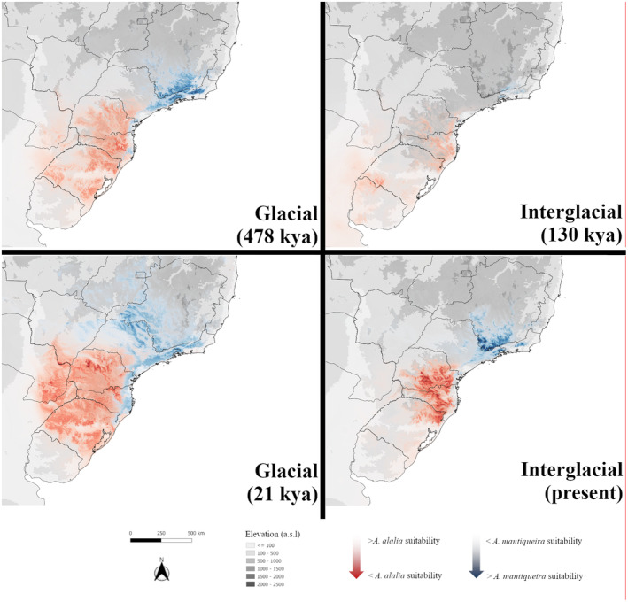 FIGURE 6