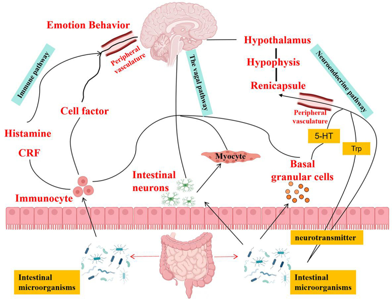 Figure 4.