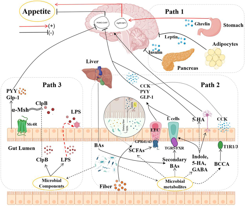 Figure 5.