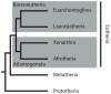 Fig. 1