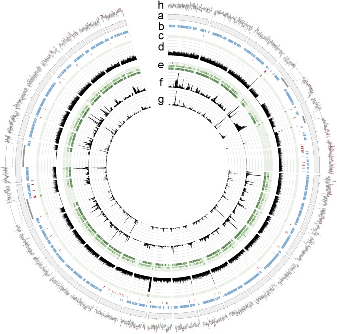 Fig. 2.