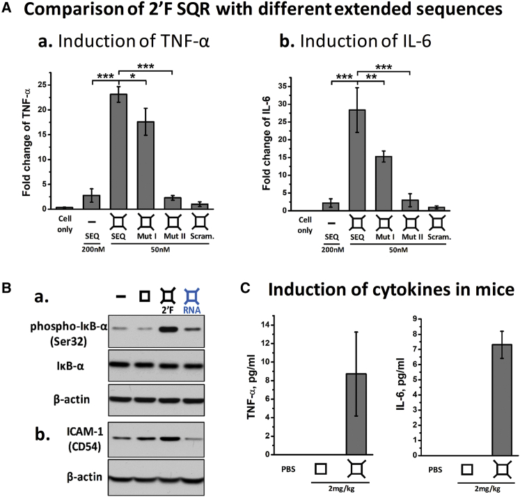 Figure 6