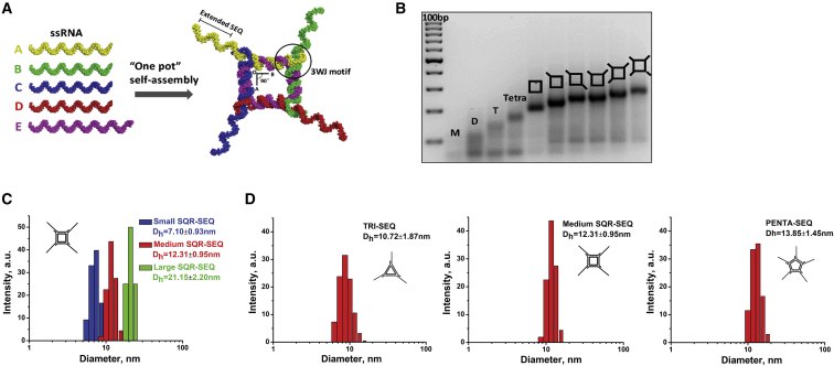 Figure 1